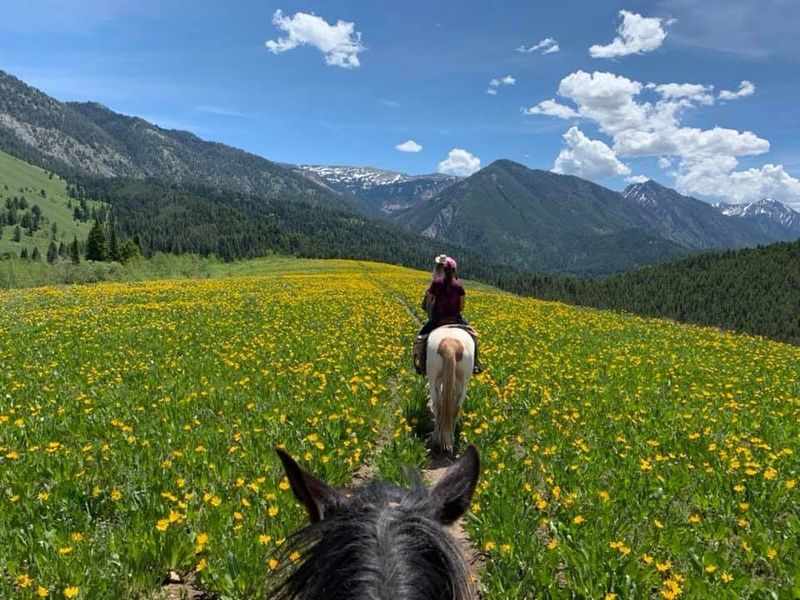 Your Summer Guide to Jackson Hole