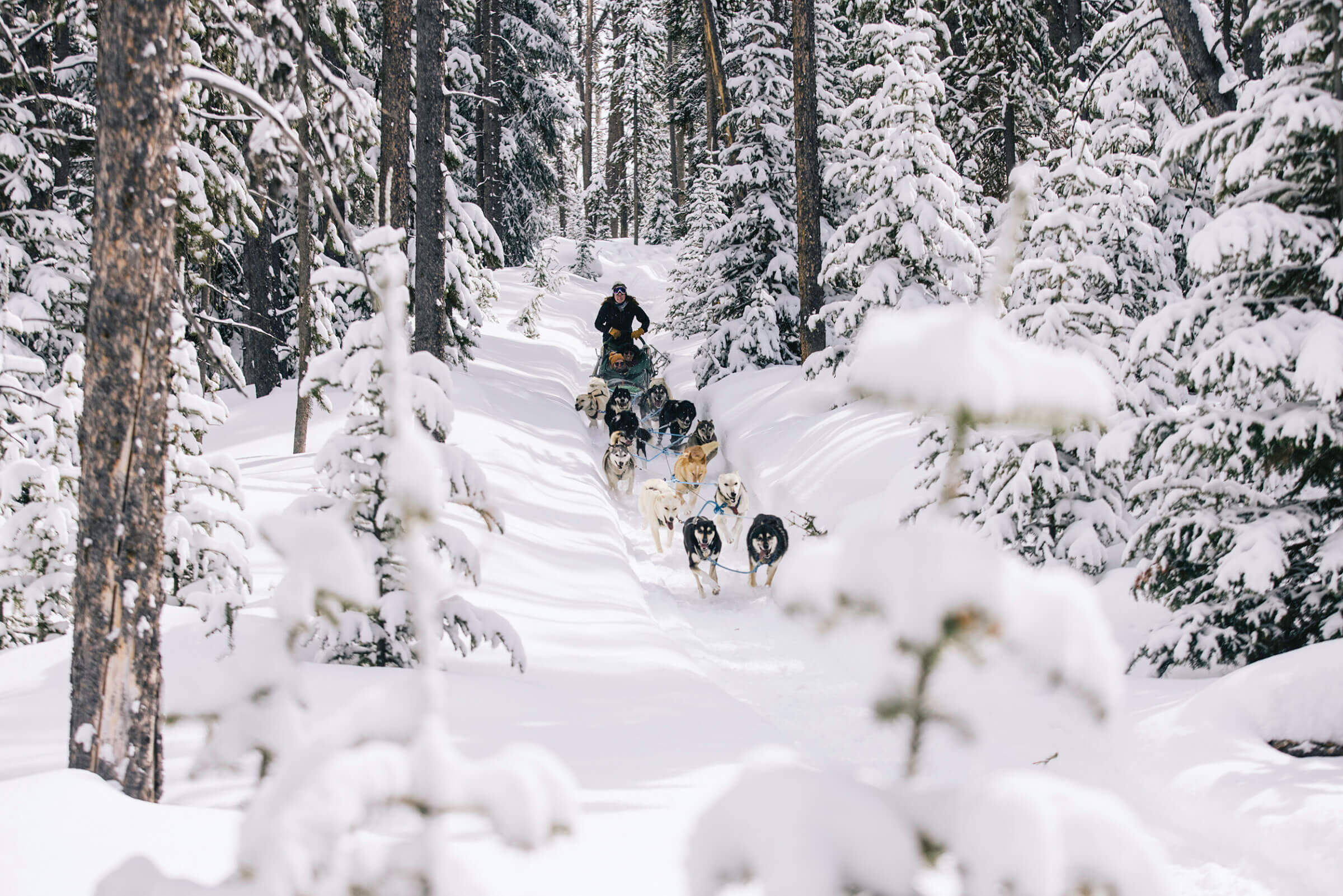 Holidays at the Rusty Parrot: A New Tradition in Jackson Hole