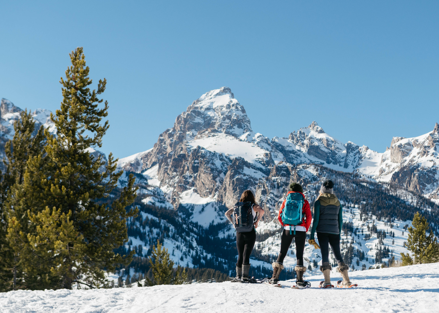 Wildlife, Warmth, and Western Charm: Jackson Hole Beyond the Slopes